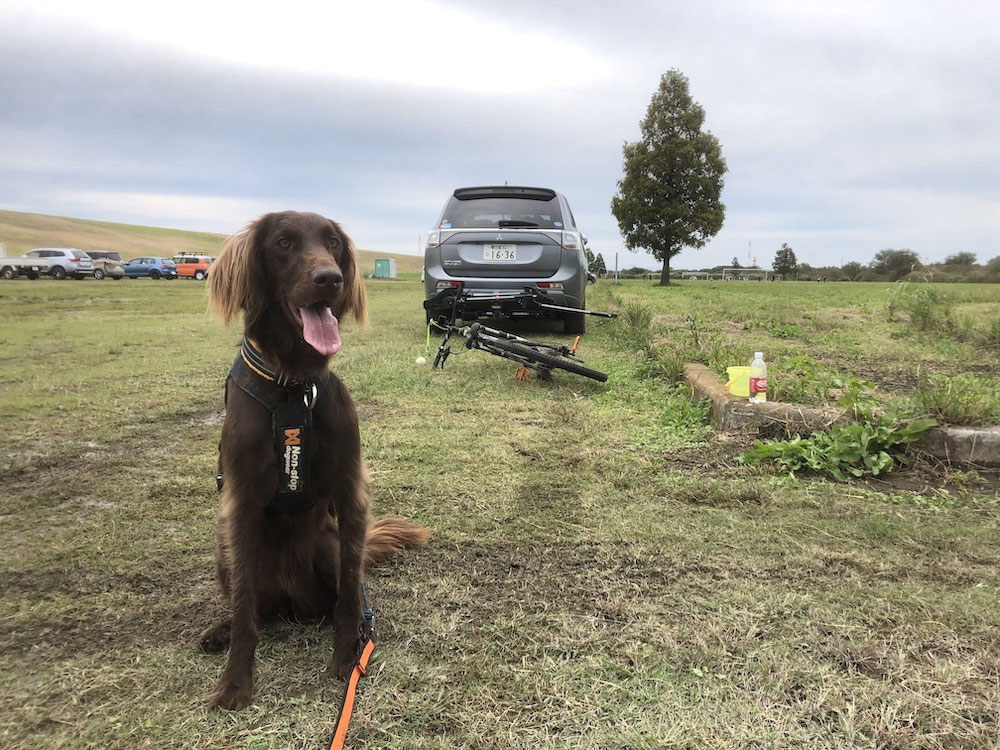 Bikejoring Training 「イヌとはしる」Bikejoring&Canicross