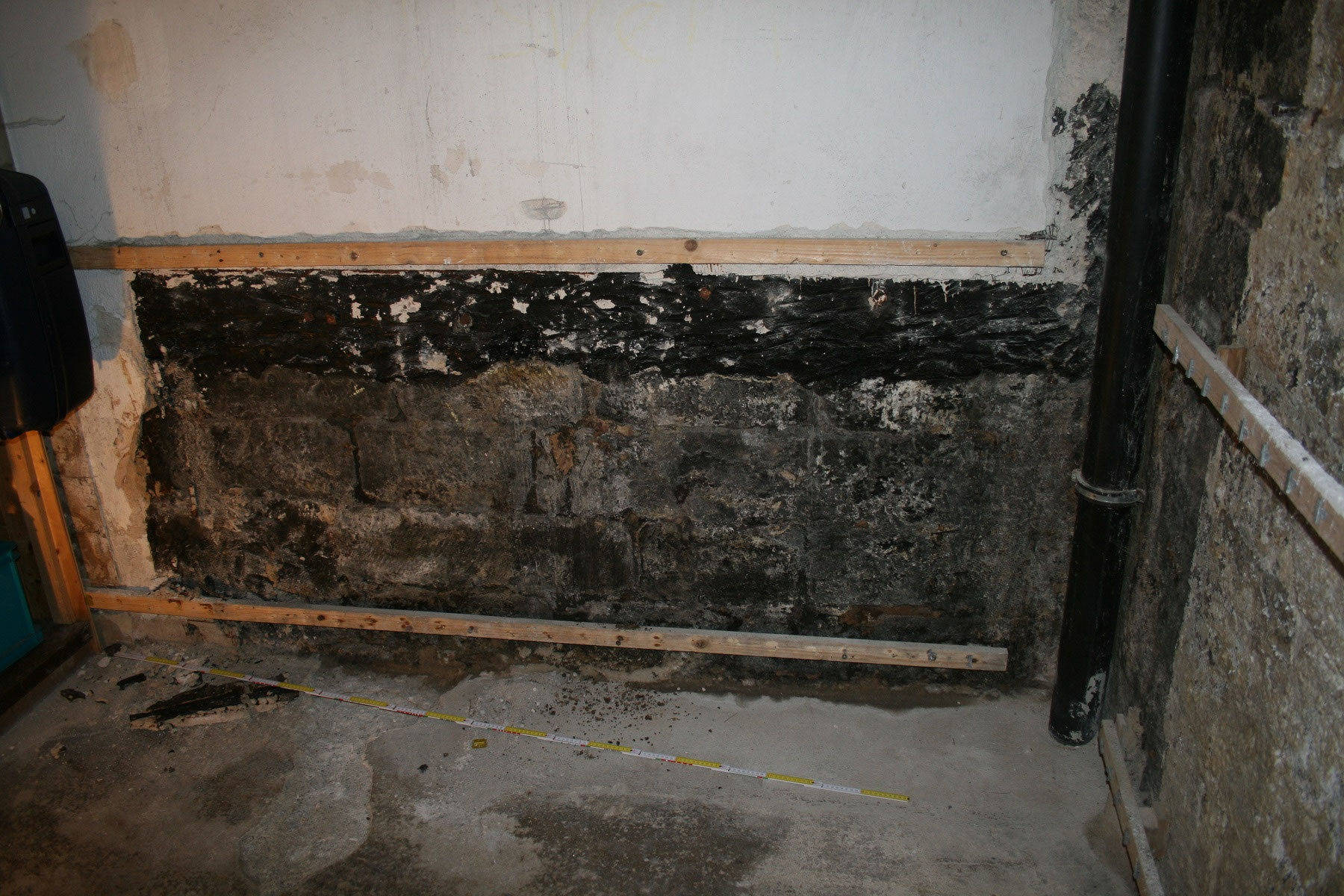 Schimmel im Keller
