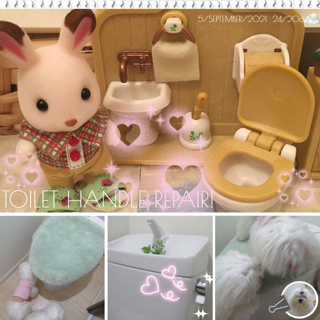 トイレレバー壊れる 修理できた トイレハンドル修理英語で ワーホリ 留学 J1 シニア アロマ ハーブのas Pea Support トイレレバー壊れる 修理できた トイレハンドル修理英語で ワーホリ 留学 J1 シニア アロマ ハーブのas Pea Support
