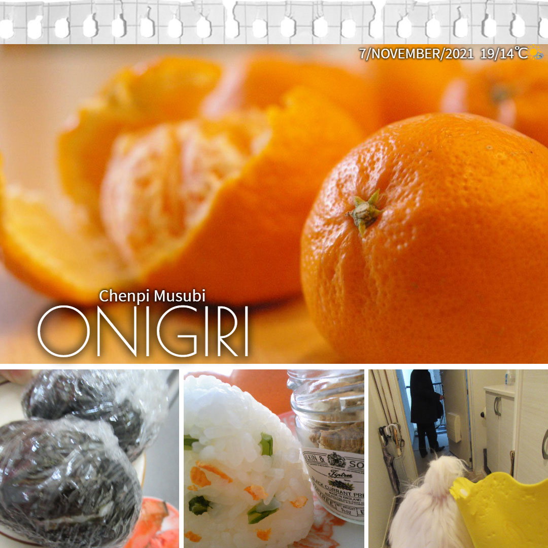 おにぎり 陳皮結び 陳皮 中国語 英語で ワーホリ 留学 J1 シニア アロマ ハーブのas Pea Support おにぎり 陳皮結び 陳皮 中国語 英語で ワーホリ 留学 J1 シニア アロマ ハーブのas Pea Support