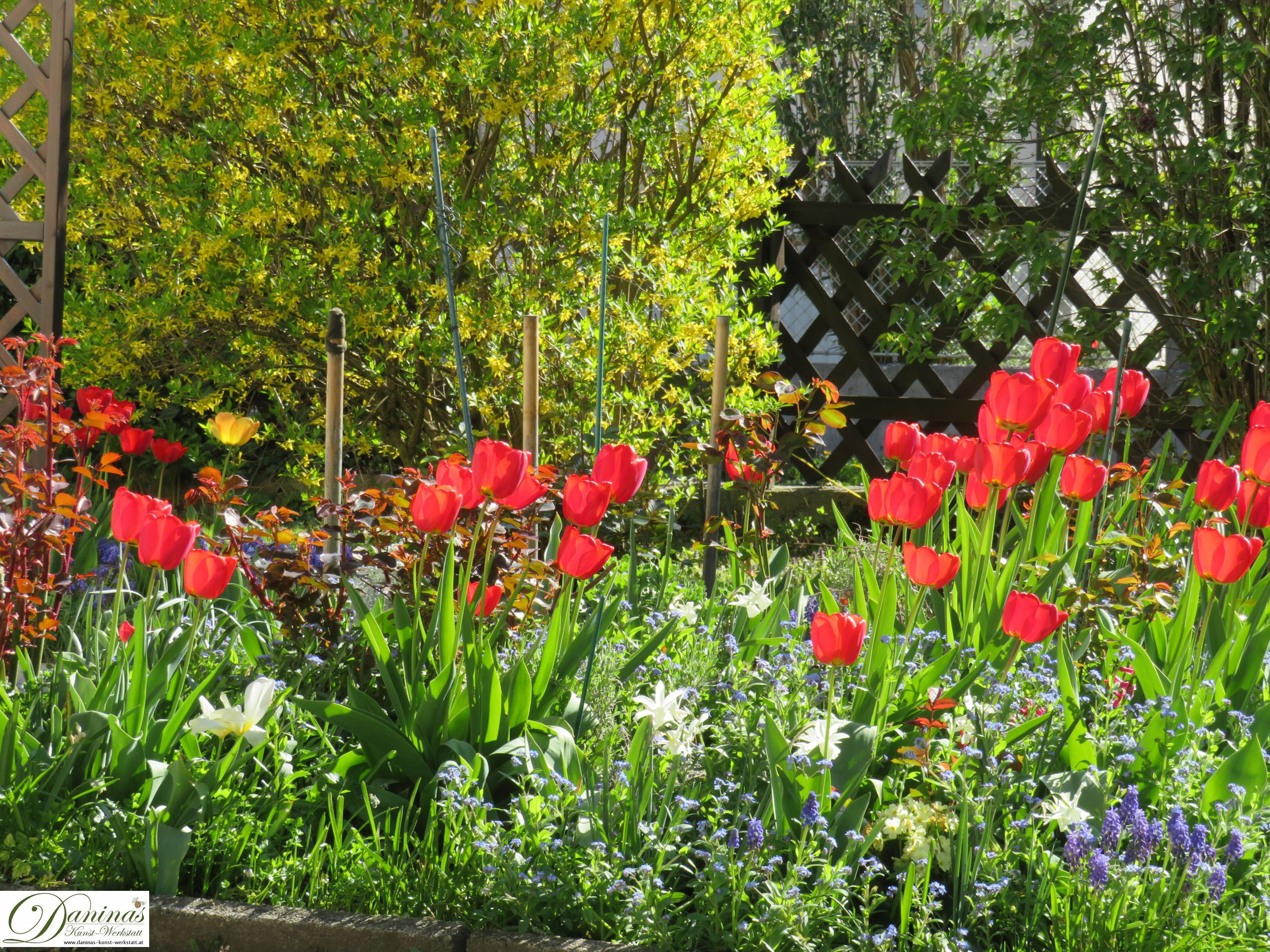 Frühlingsblumen im Garten Daninas KunstWerkstatt
