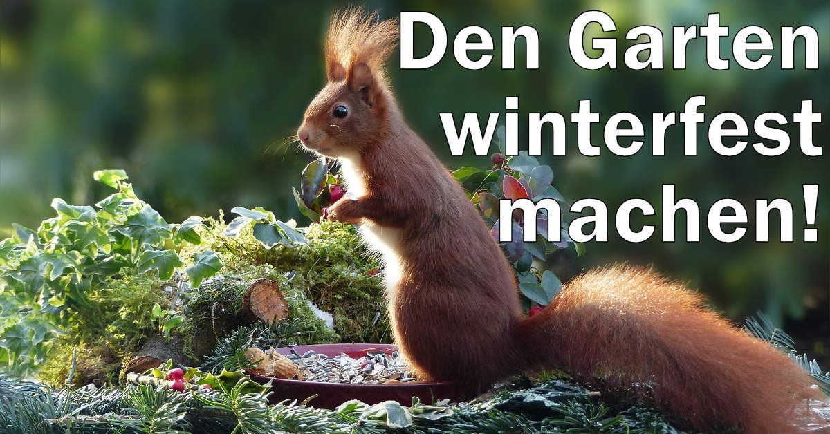 Checkliste So machen Sie Ihren Garten winterfest! Sonnenwetter