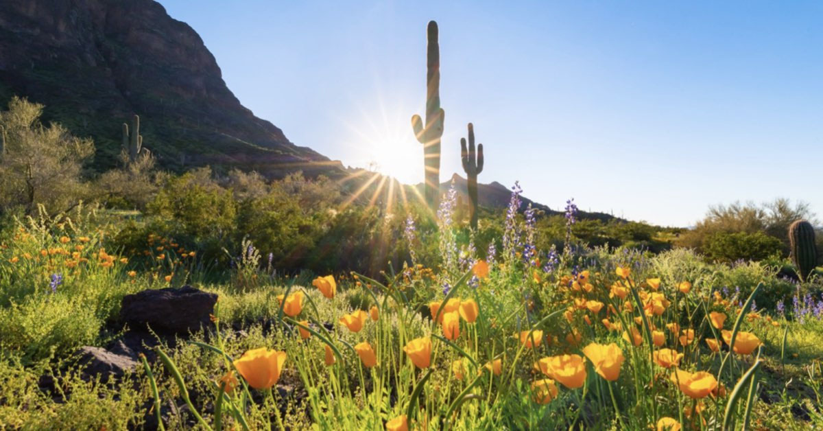 Aizona USA entdecken