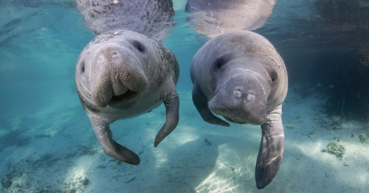 Florida USA entdecken