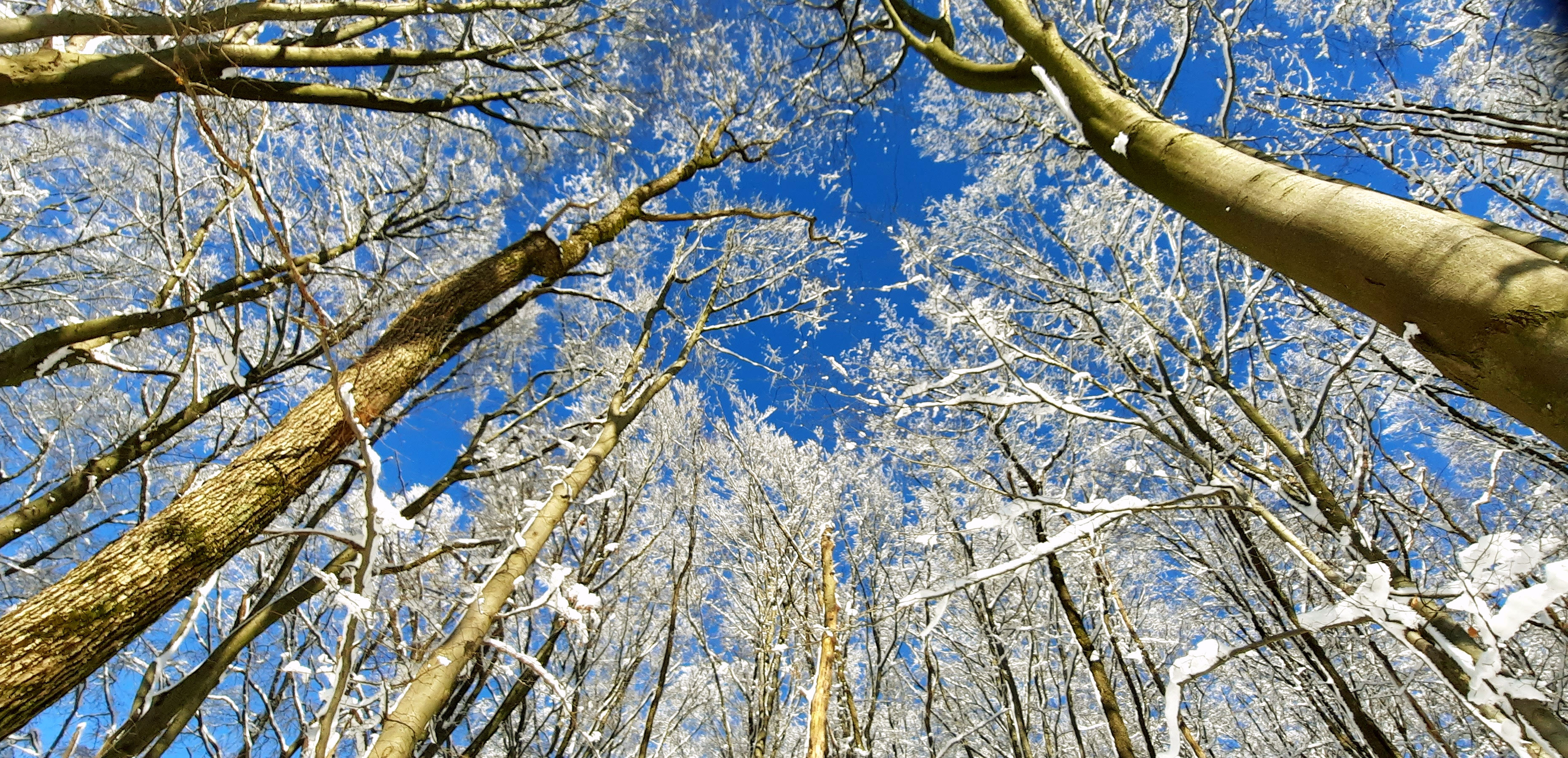 Schneezauber im Bergischen Land