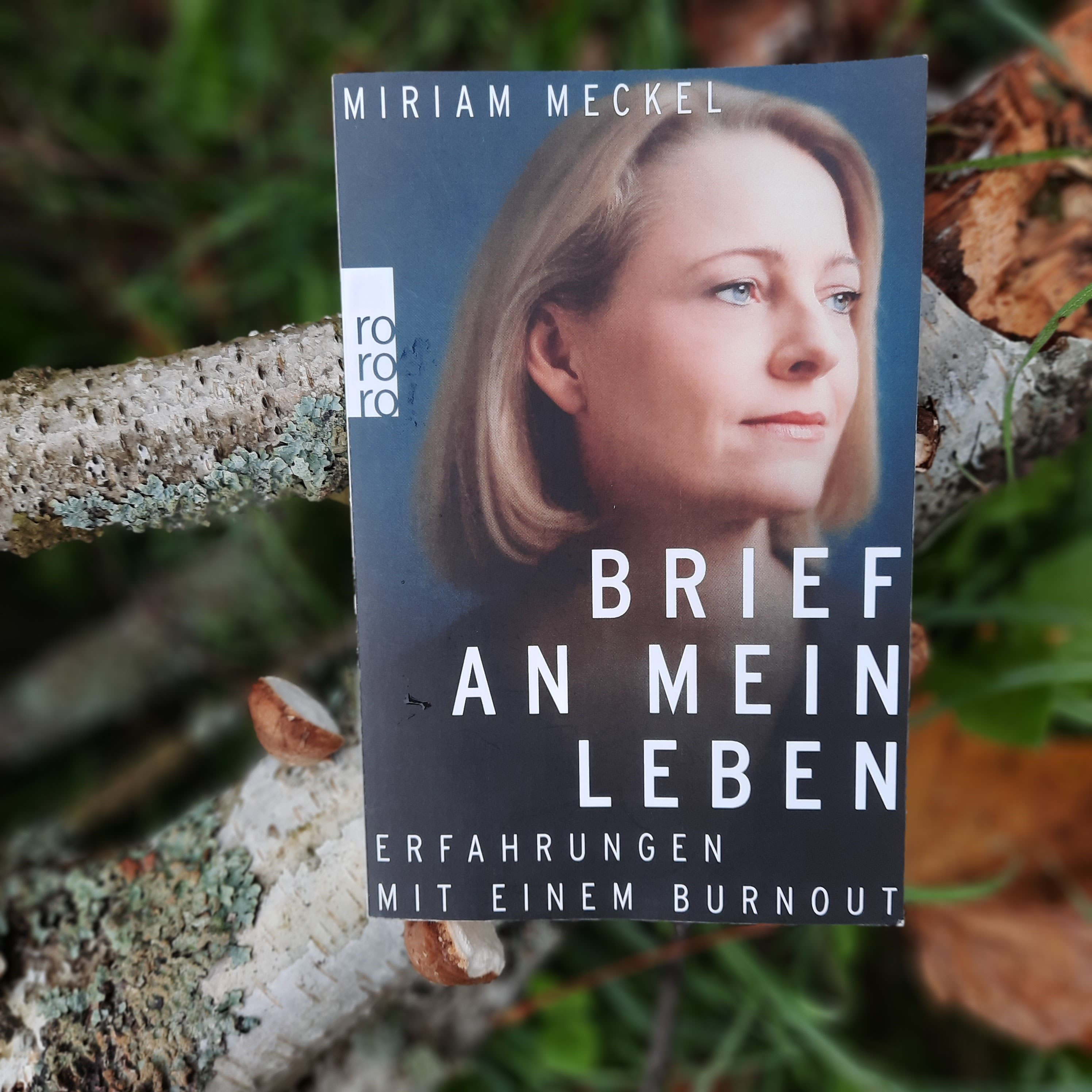 Miriam Meckel "Brief an mein Leben" Die Bücher und Lesewelt der Buchstabenmieze