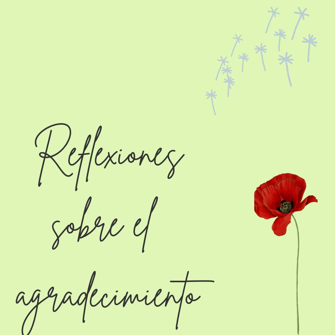 Reflexiones y trabajo sobre el agradecimiento - Practicando La Comunicación  Noviolenta, image size:1080x1080