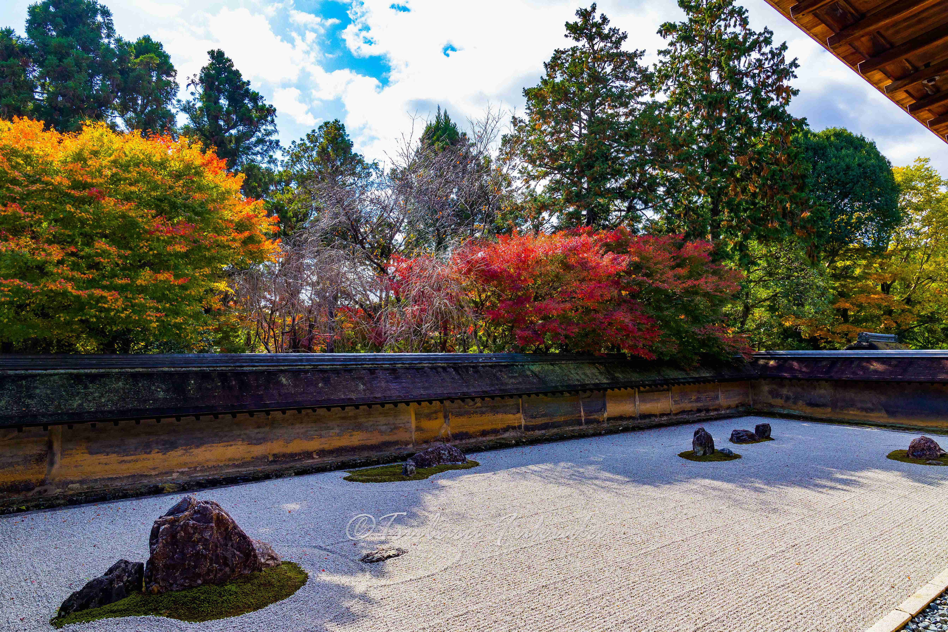 紅葉シーズンの石庭が絶景 京都の石庭と言えば龍安寺 方丈庭園 近畿 京都府 東京都の出張撮影カメラマン Wingphoto 紅葉シーズンの石庭が絶景 京都の石庭と言えば龍安寺 方丈庭園 近畿 京都府 東京都の出張撮影カメラマン Wingphoto