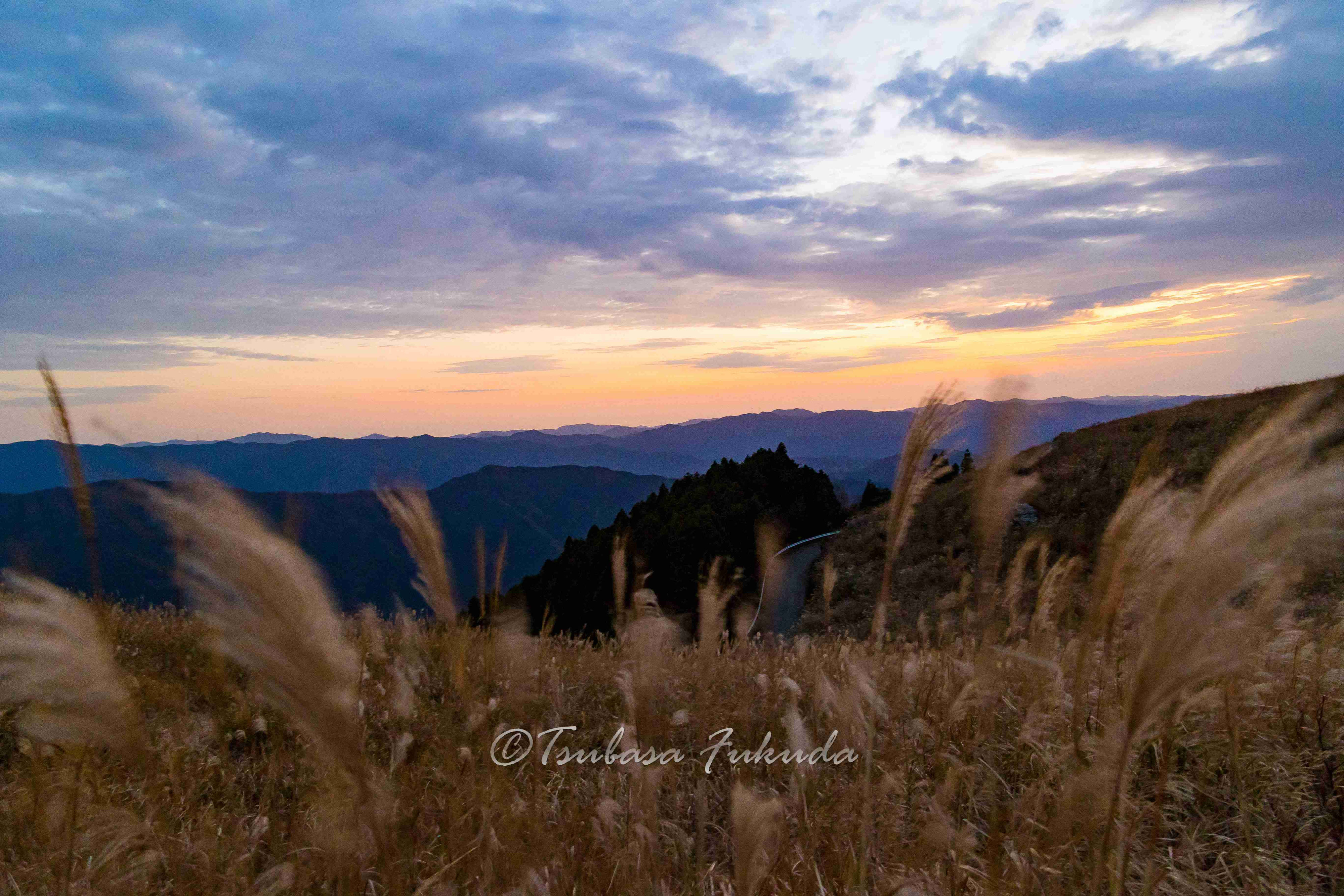 生石高原 すすき 近畿 和歌山県 東京都の出張撮影カメラマン Wingphoto 生石高原 すすき 近畿 和歌山県 東京都の出張撮影カメラマン Wingphoto