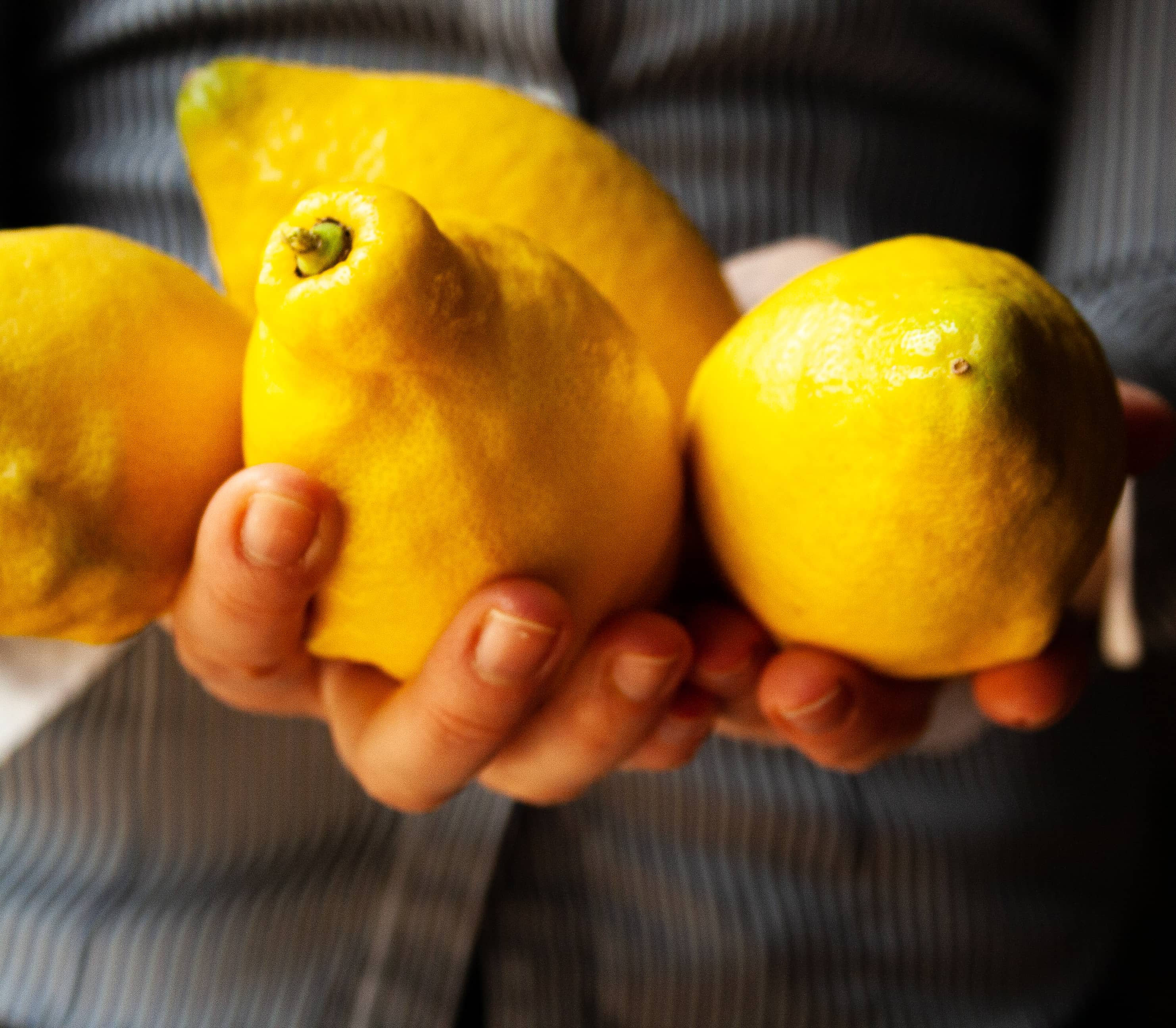 Comment conserver les zestes de citron Virginie Dion photographe culinaire, produits & artisanat