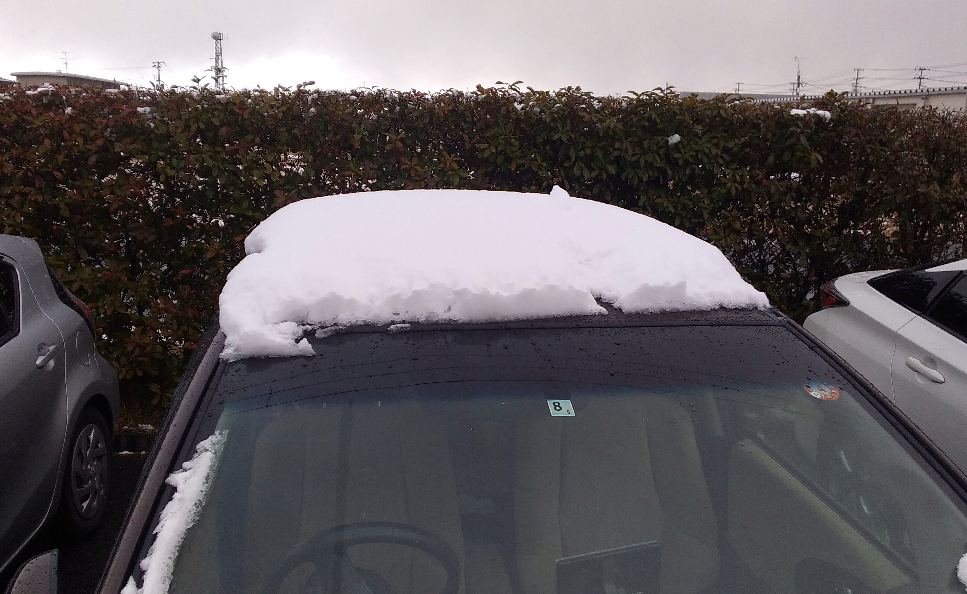 私の車だけ屋根に雪 やってみっか奔舎