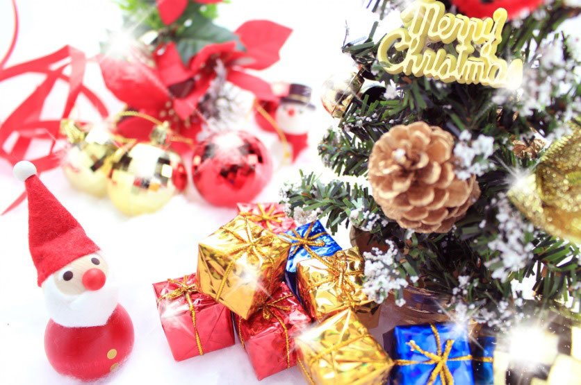クリスマス 日本最大級の農業生産法人 株式会社 西部開発農産 クリスマス 日本最大級の農業生産法人 株式会社 西部開発農産