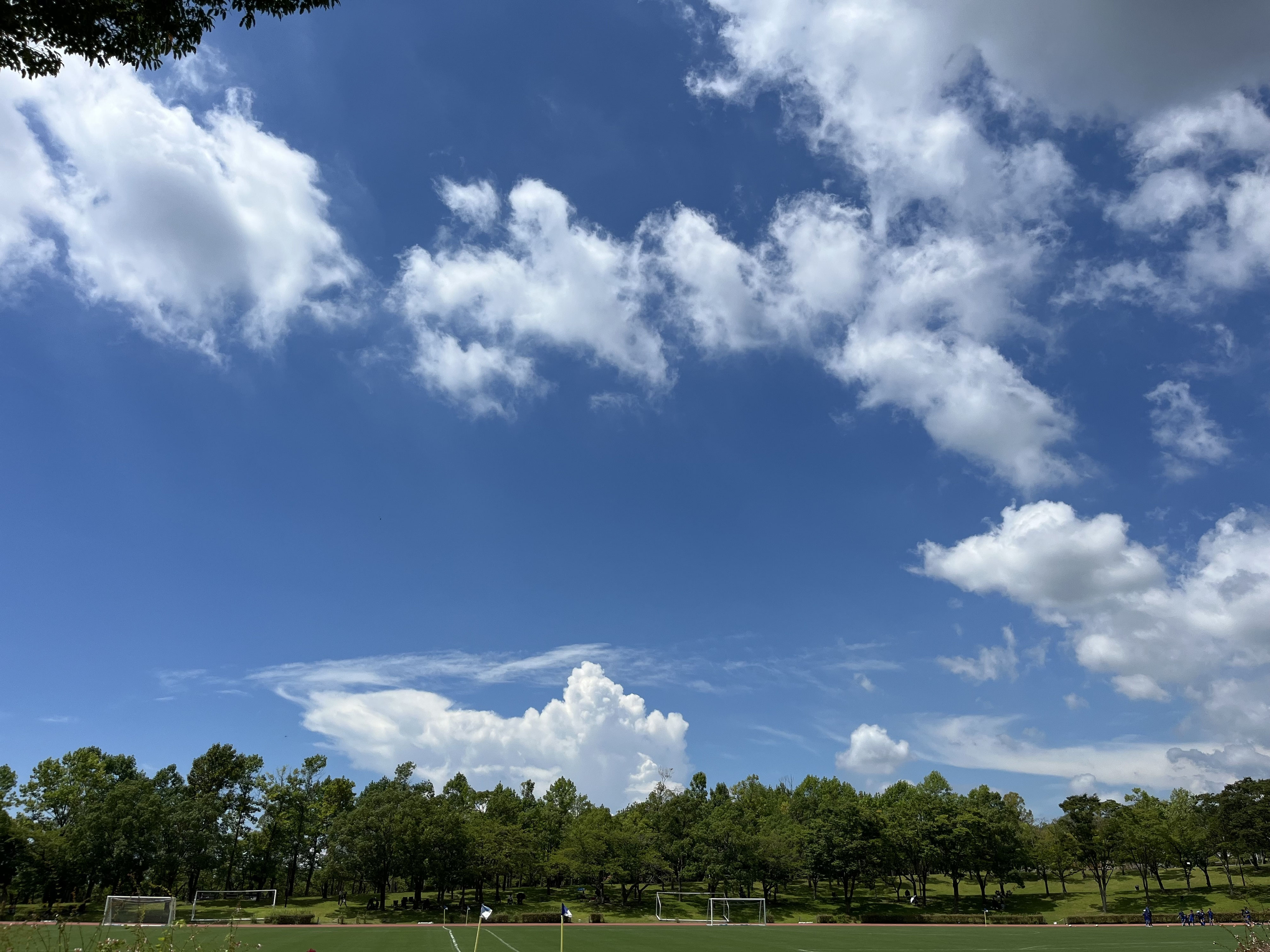 4000x3000.pimpandhost.IMG 13