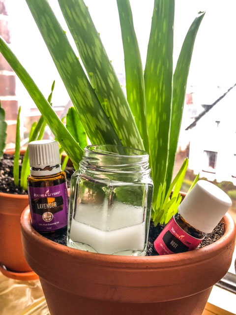 Aloe Vera - DIY Creme - Willkommen in "meiner duften Welt".