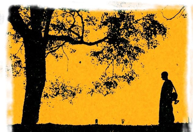 Combien De Qi A Une Huitre 1er koan : combien de temps dure une vie ? - Mindfulness, tai-chi, qi