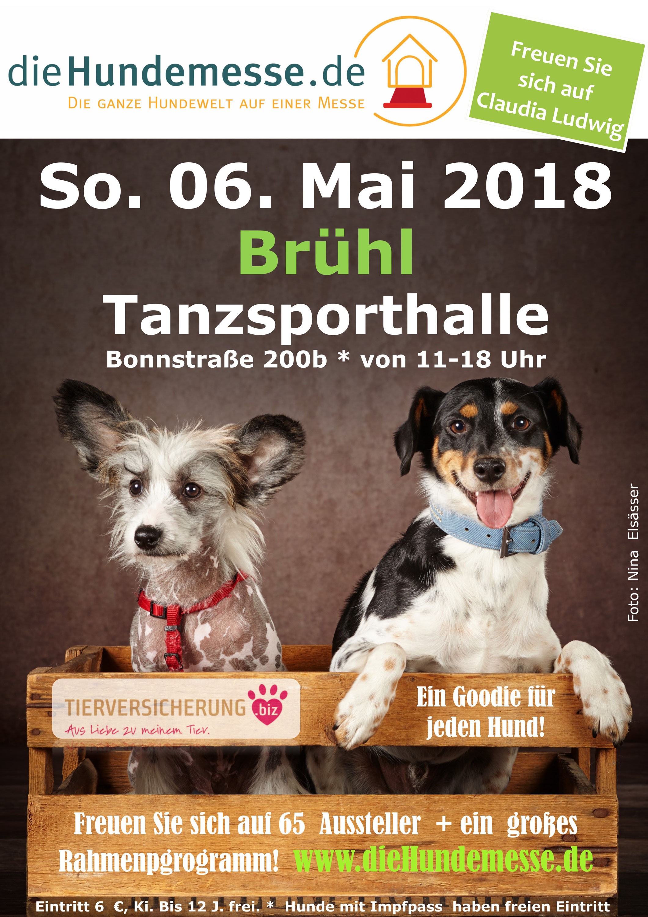 11 Hundemesse In Brühl Tiertafel Rheinerft Ev