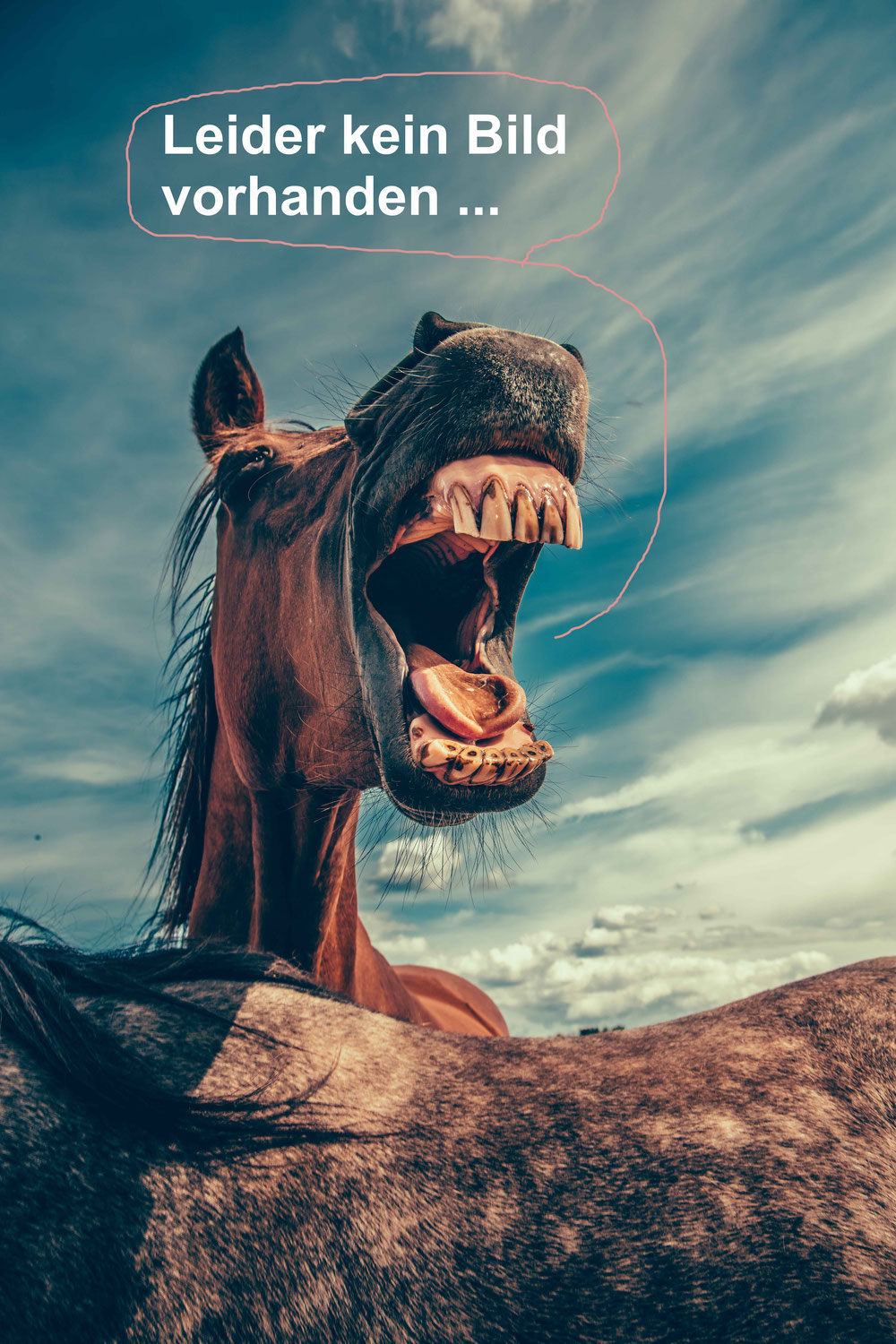 Niederoberbach, 07./08.19 1523347195s Webseite!