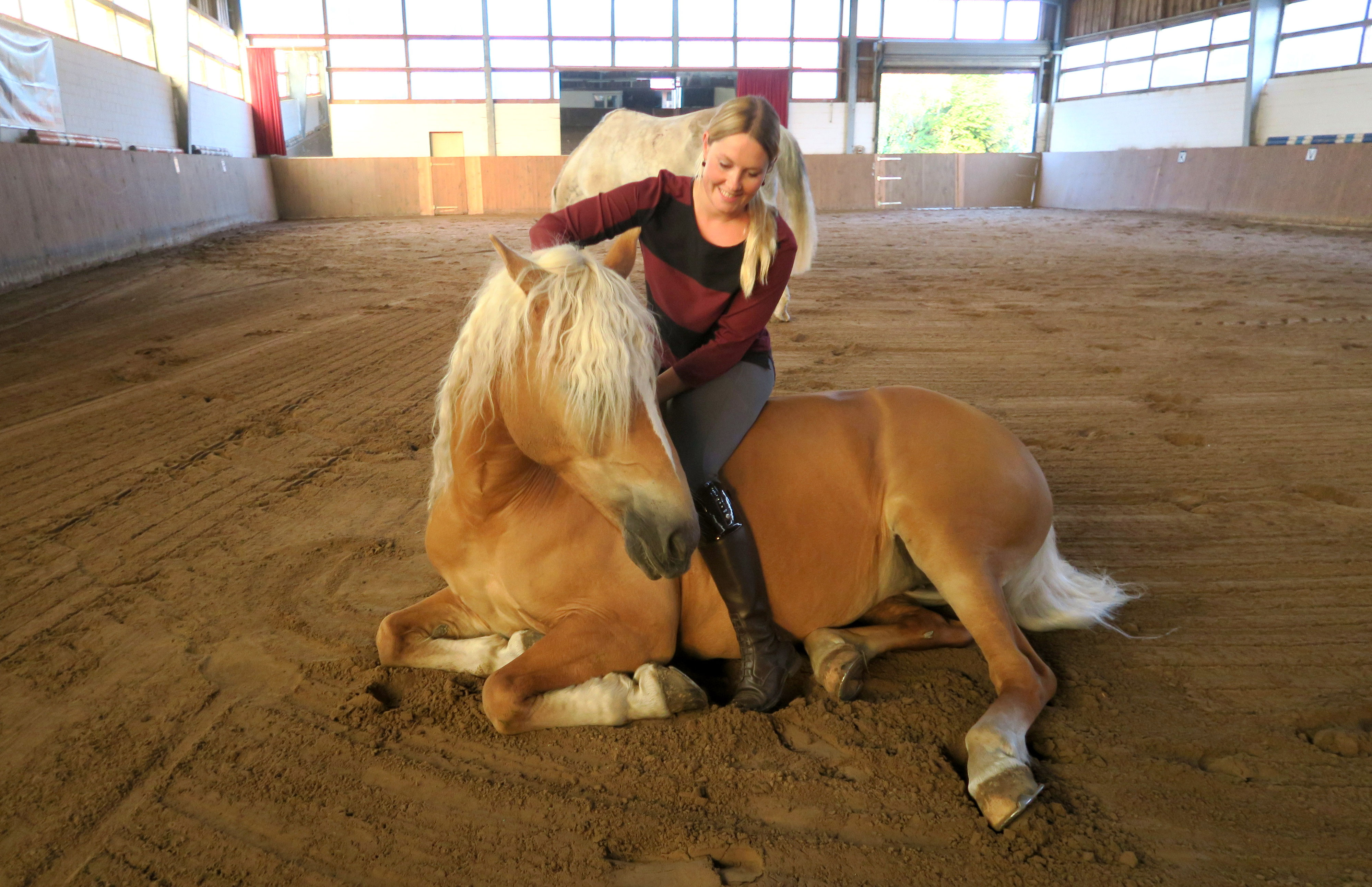Vertrauen - Reitsportblog reiten-reicht