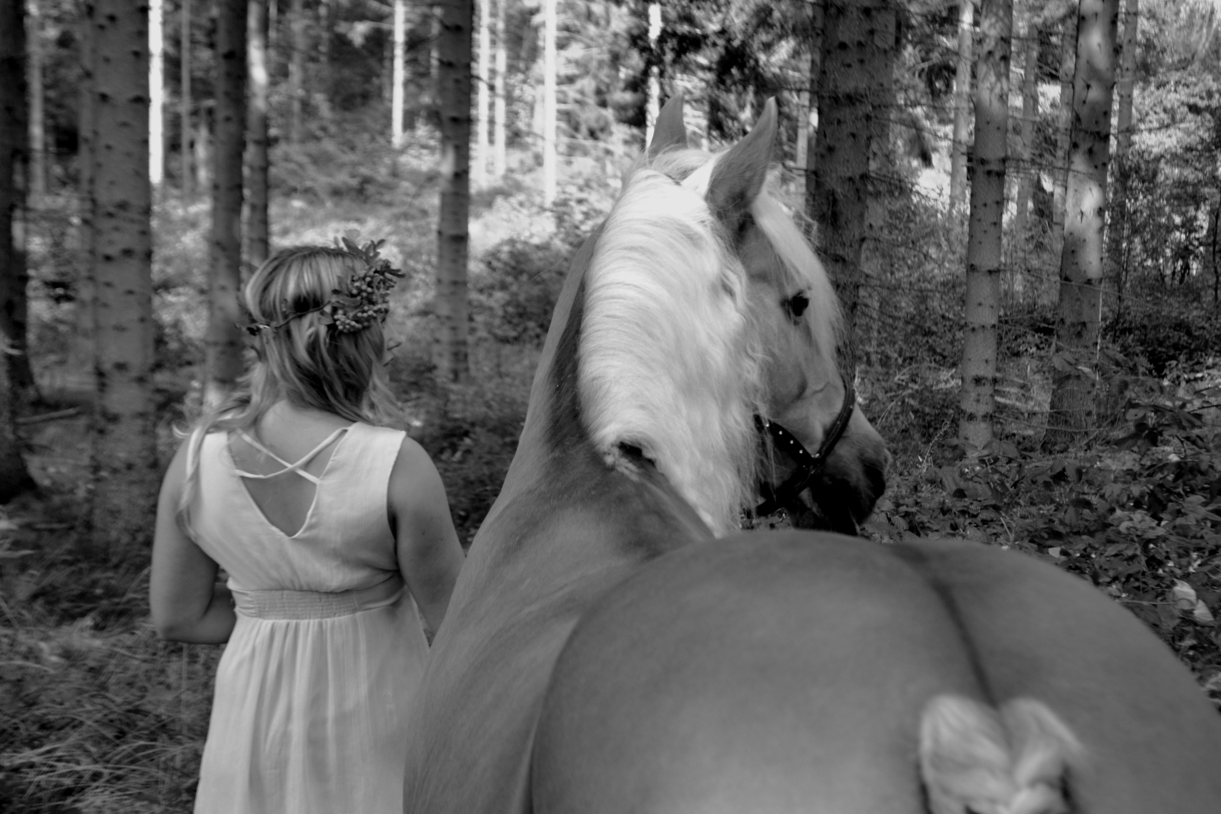 Pferde Pullover 'Wenn Dieser Pulli Noch Sauber Ist' - Lustiger Reiter Spruch