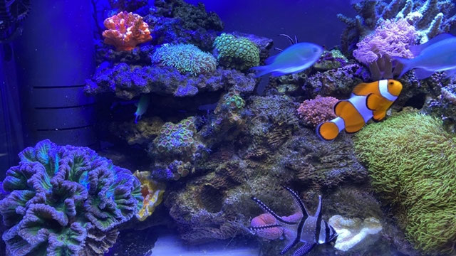 程よい距離も大切 老人ホームさくらんぼ 訪問看護rainbowearth Rainbow Earth レインボーアース