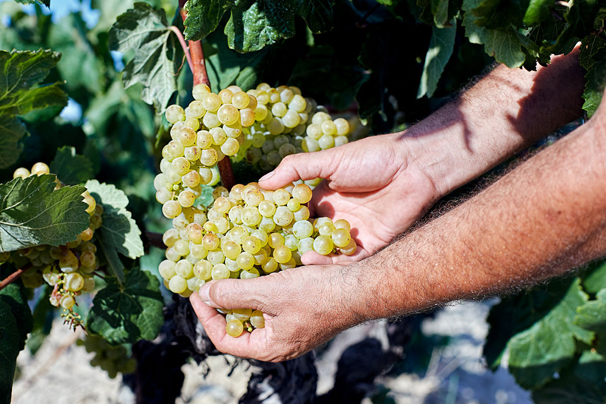 Ciudad Condal Artikel Ciudad Condal