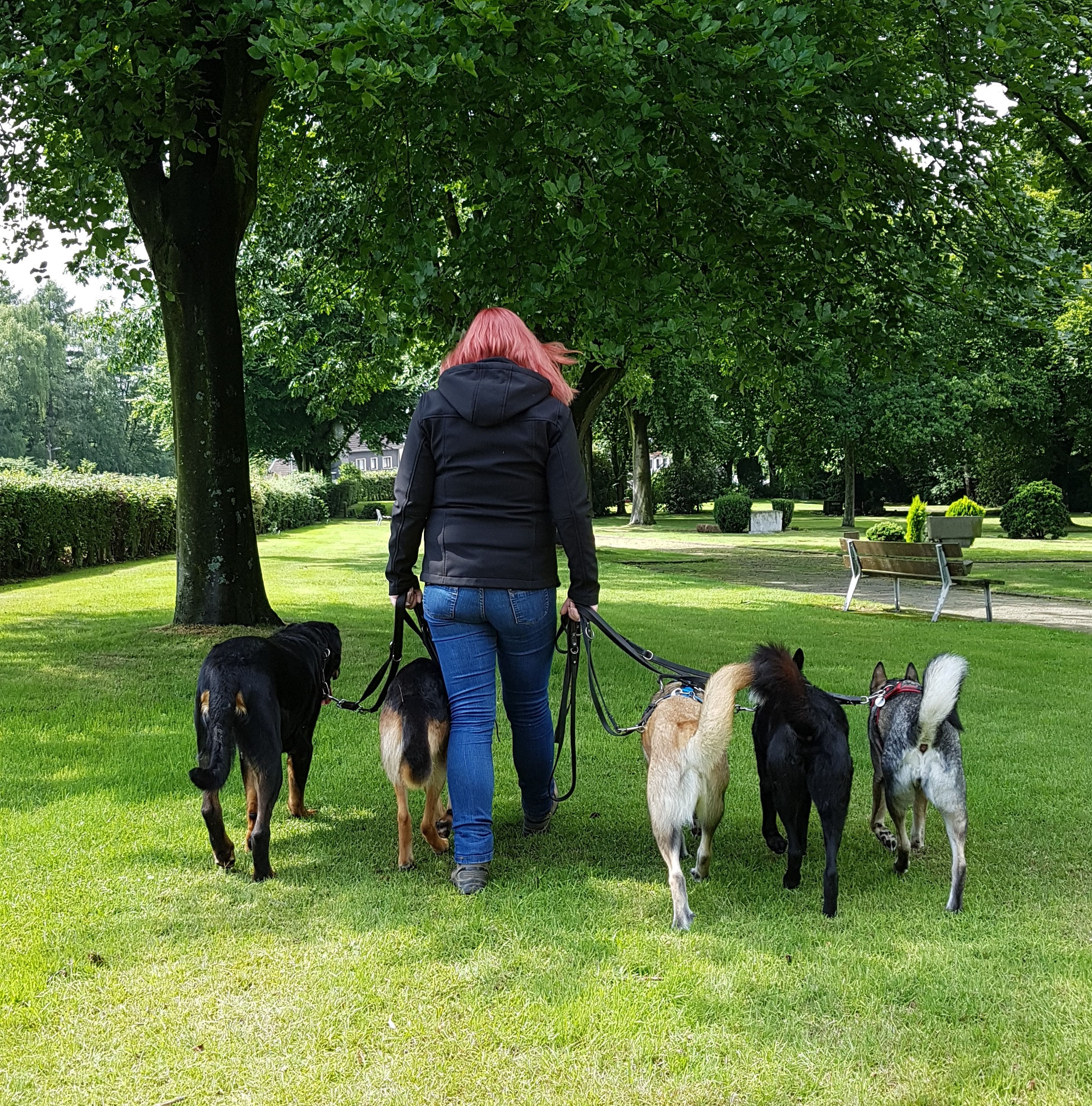 Hundehaltung talismanhundeschules Webseite!