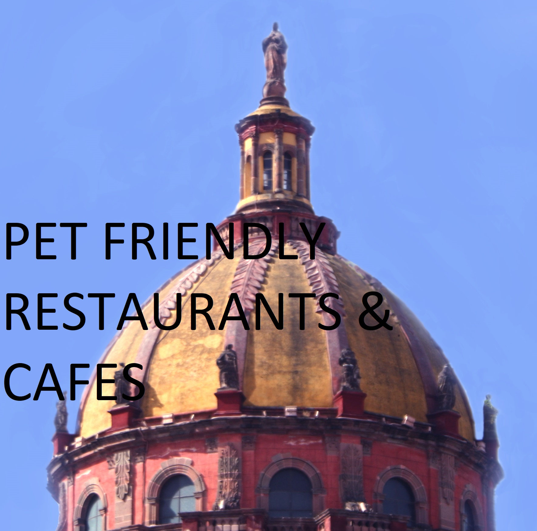 Pet Friendly Restaurants & Cafes San Miguel Rentables We Focus on