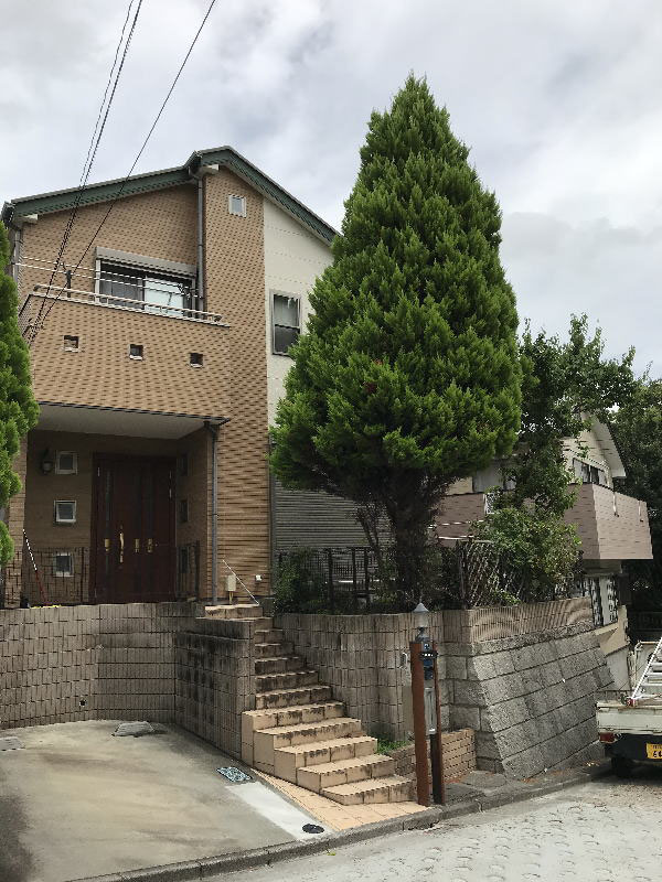 大きくなりすぎたシンボルツリーのコニファー伐採 横浜市 鎌倉市 藤沢市 横須賀市 大和市 川崎市のお庭の剪定 伐採植木の手入れ草刈りお庭の困ったを解決するフラワーライフ研究会