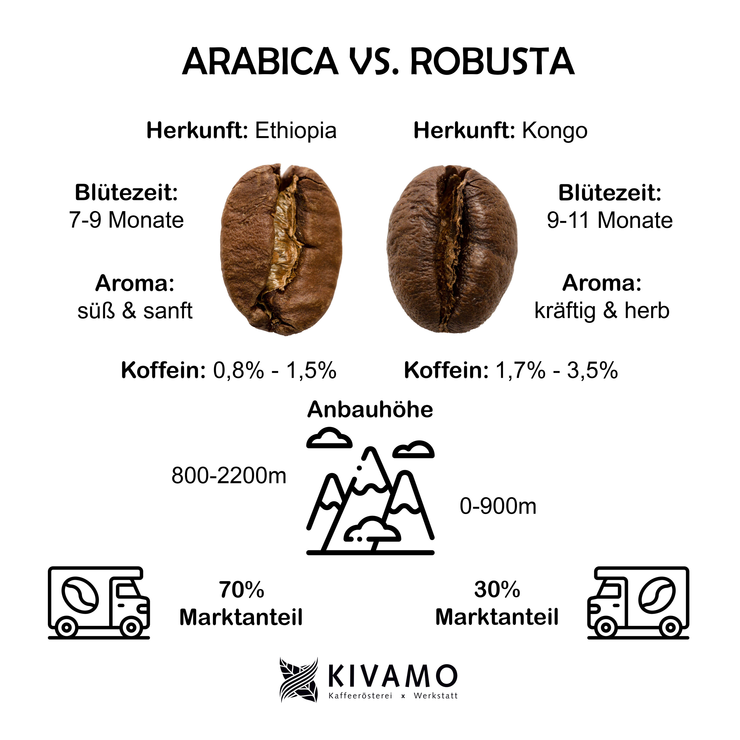 Arabica Vs Robusta Coffee Beans My XXX Hot Girl