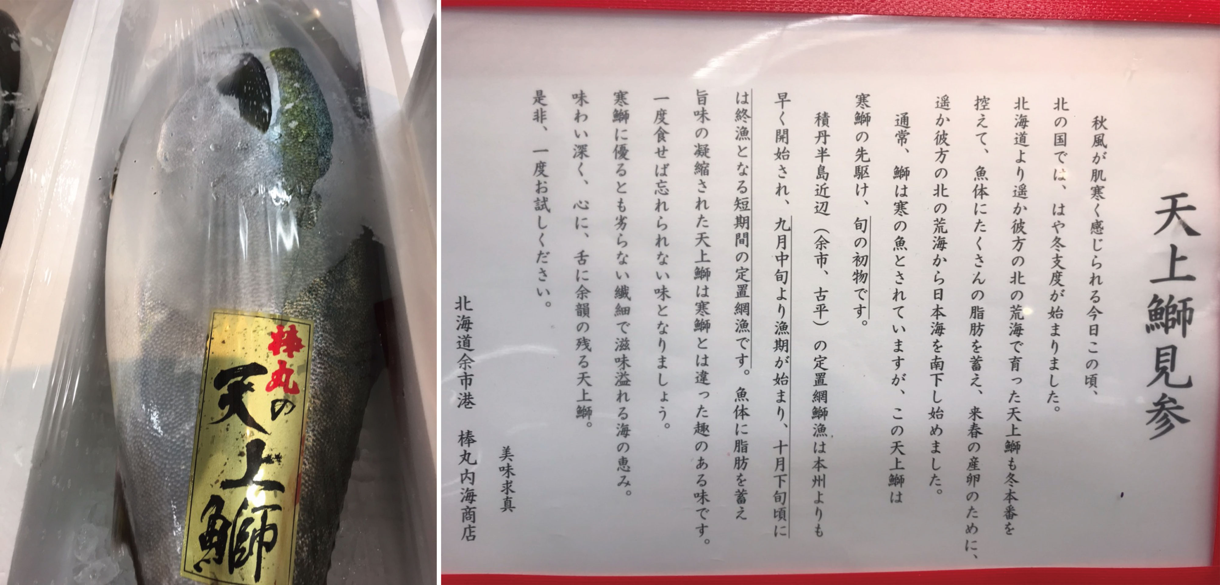 希少な北海道の鰤をご紹介 数の子ボラ子も入荷しています 豊洲市場の仲卸 山治 やまはる のホームページ Toyosu Yamaharu Tokyo Japan