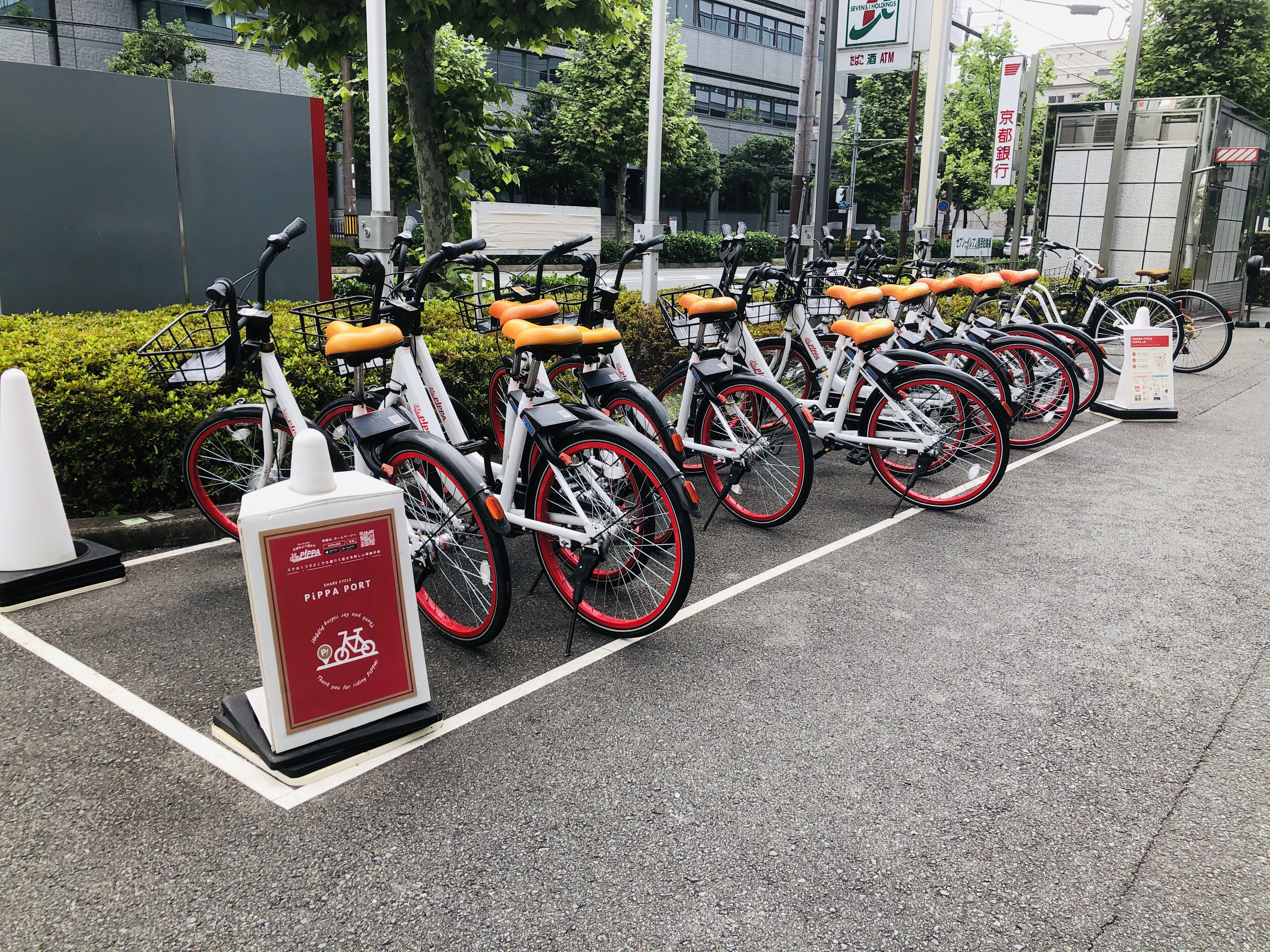 公認会計士 女性 trek 麦 自転車
