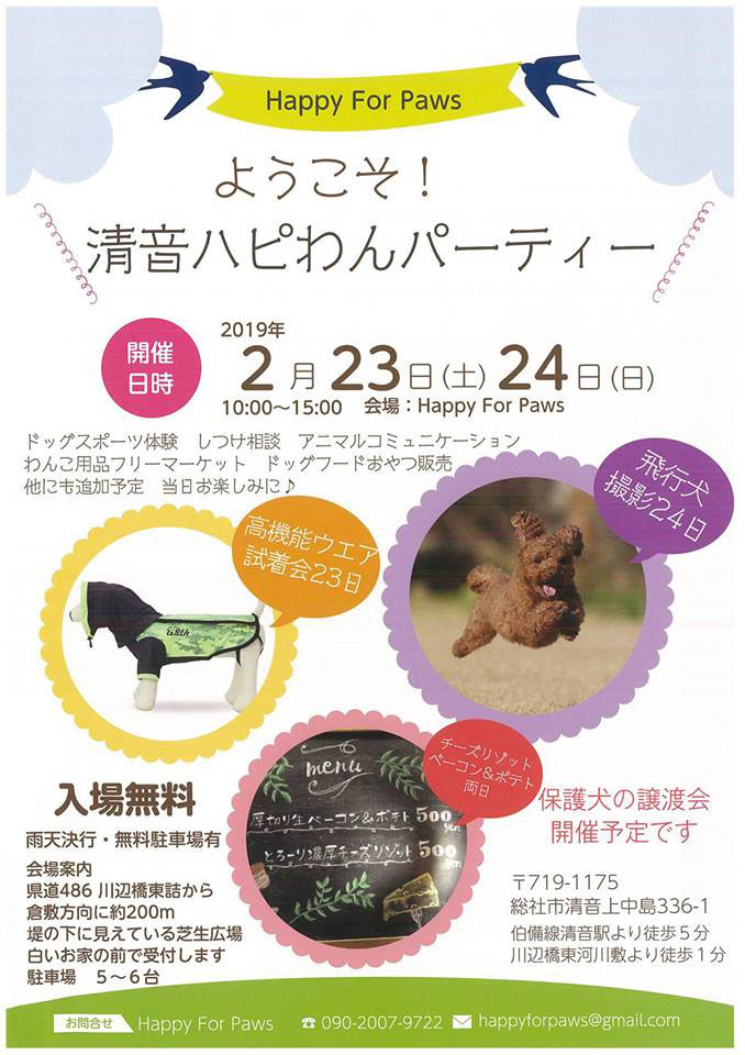 2月24日 飛行犬撮影会開催のお知らせ 元祖飛行犬写真家的場信幸 飛行犬カメラマン 南あわじ飛行犬撮影所