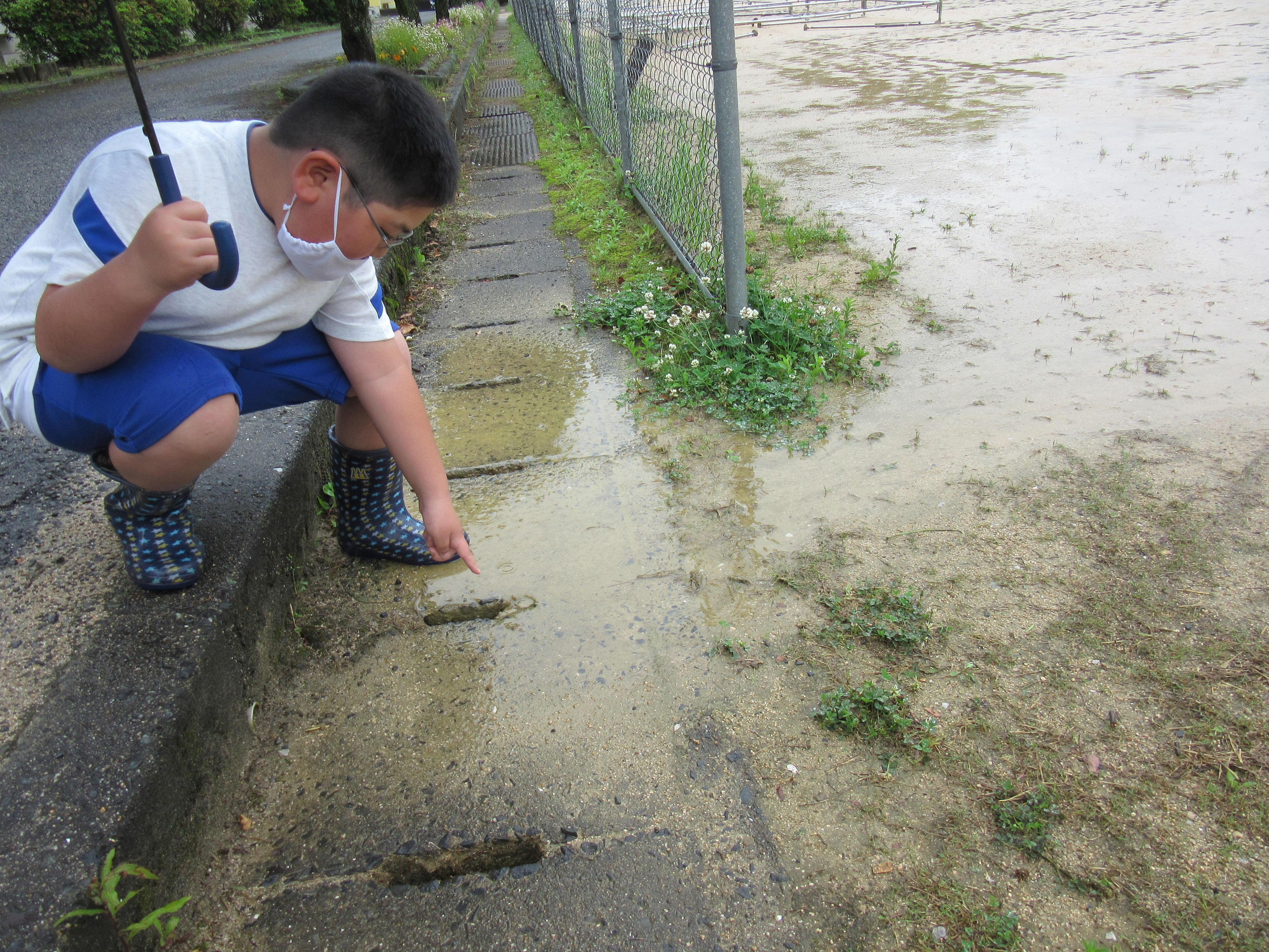 地面を流れる水のゆくえ 伊佐小学校ホームページ