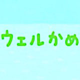 ウェルかめ