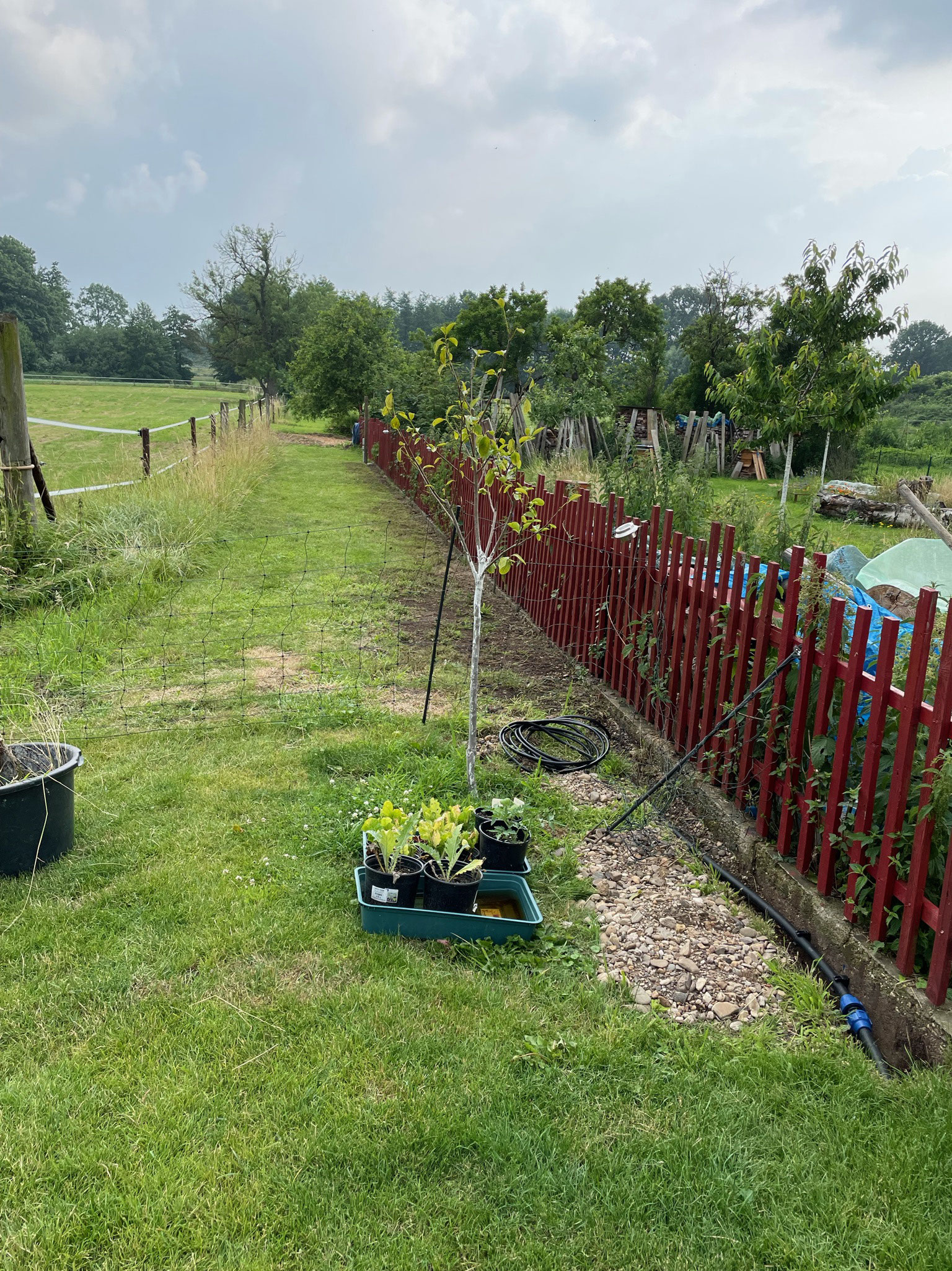 Zaun aus alten Dachlatten gartenglueckniederrhein