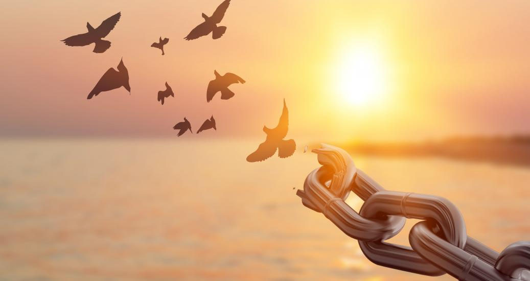 l-attachement-s-bastien-sauleau