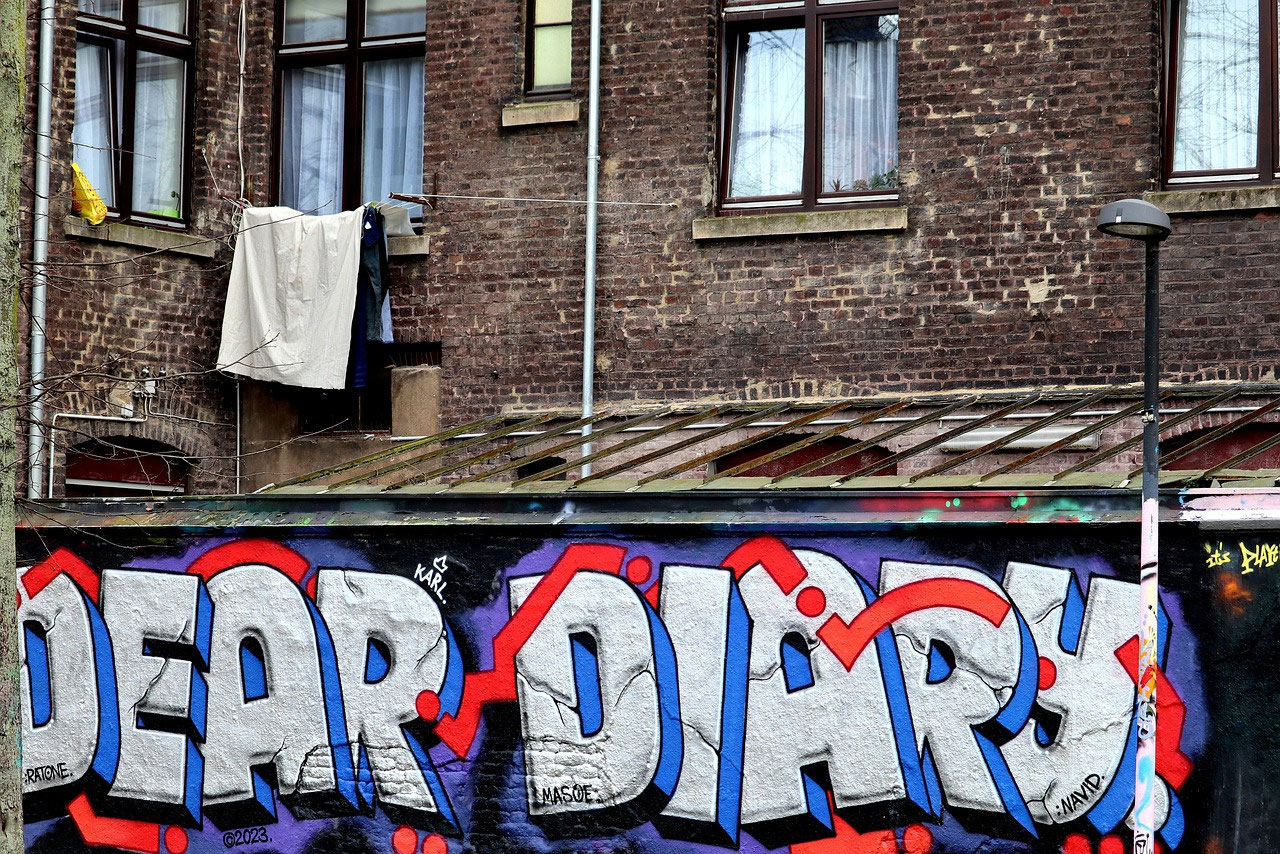 Miss Mops stimmt zur Blutohrenarie polemicablogs seite!