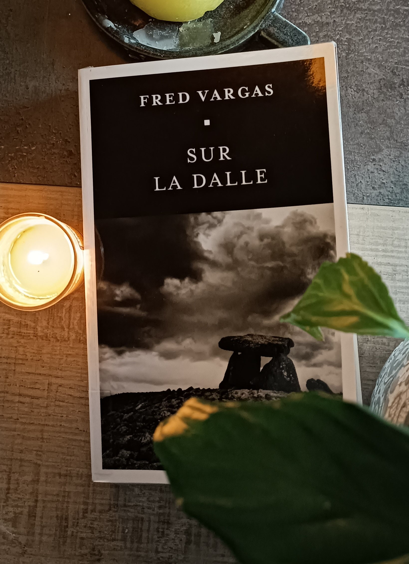 Fred Vargas Sur La Dalle