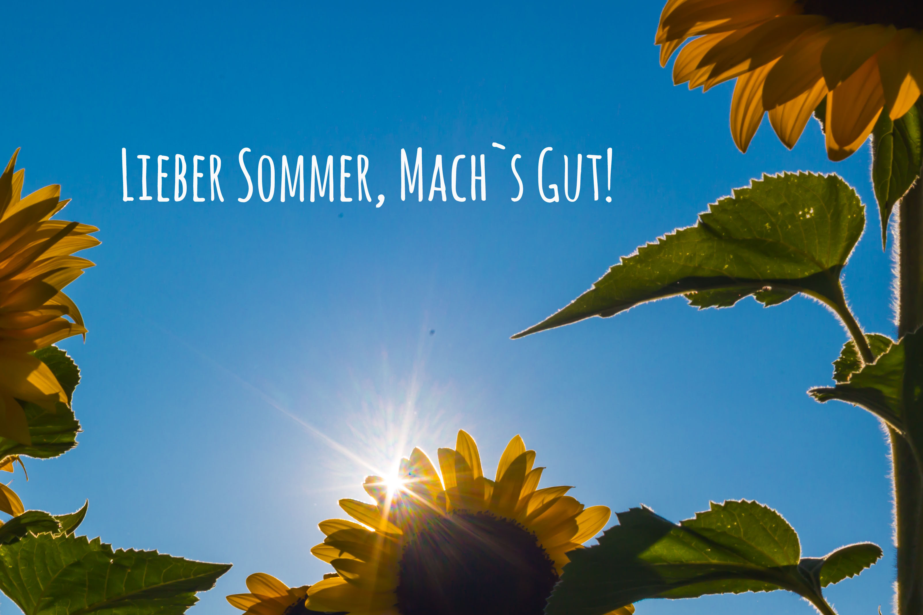Tschüss, Sommer! Ideen für Kindergeburtstage