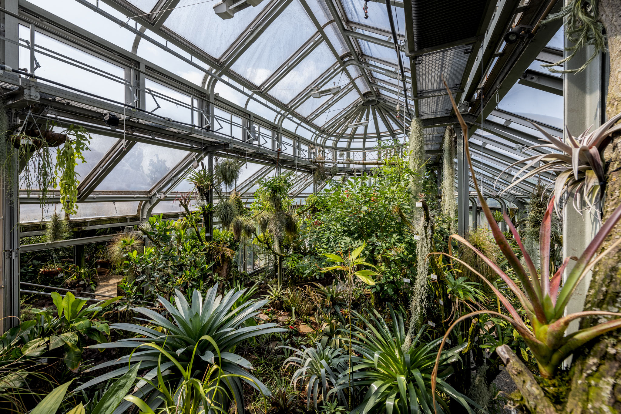 37+ schön Bilder Botanischer Garten Berlin Hunde Datei