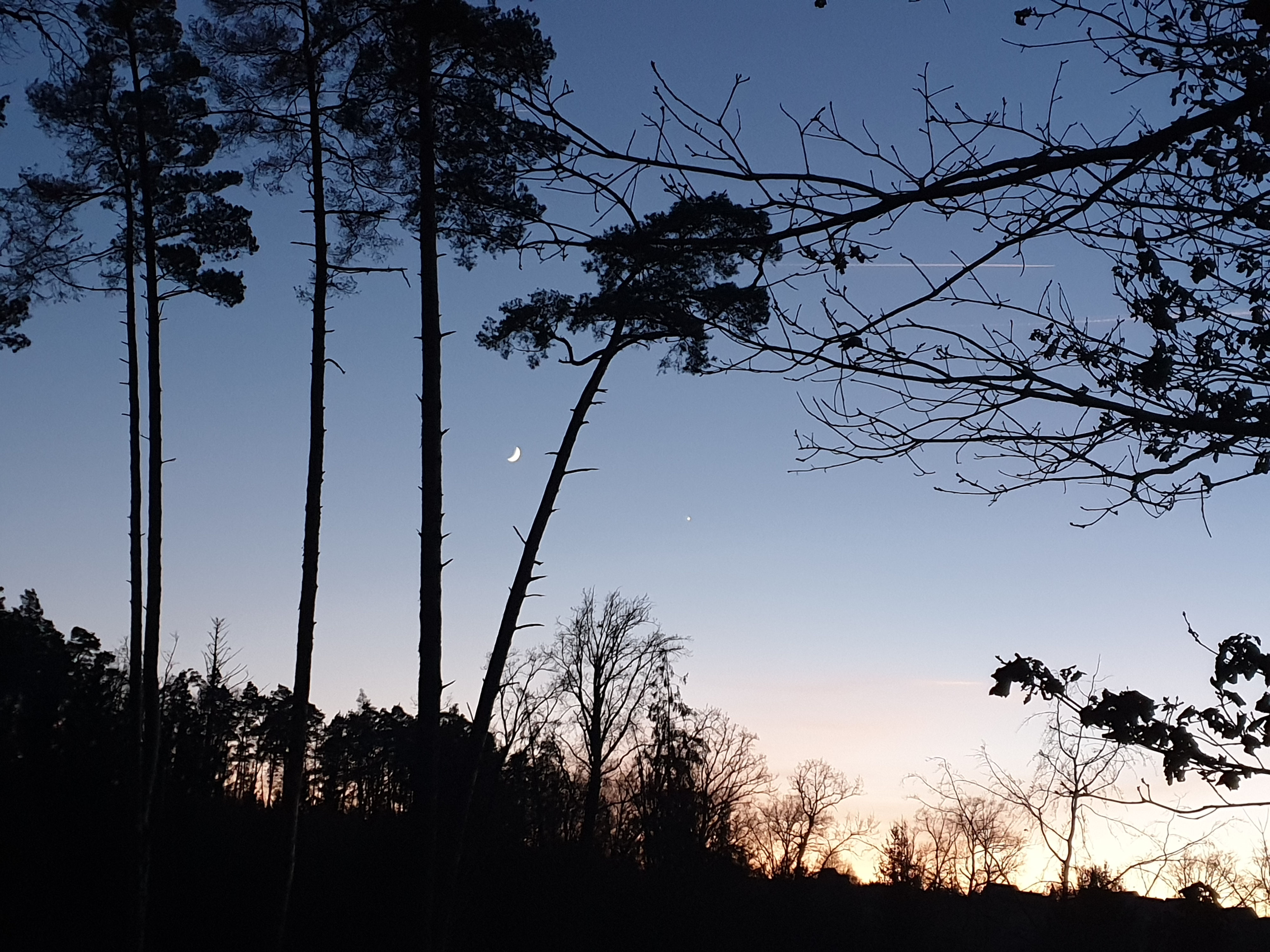 Ein Jahrzehnt - Rückblick und Ausblick - milchundhonigs Webseite!