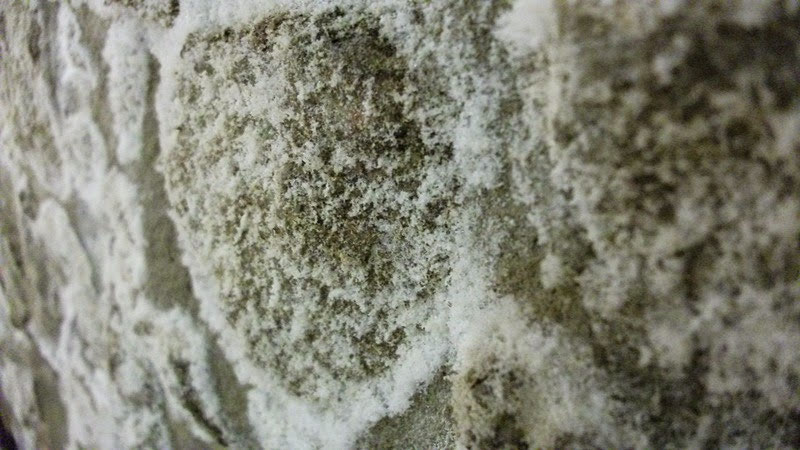 quitar la humedad de muros y techos