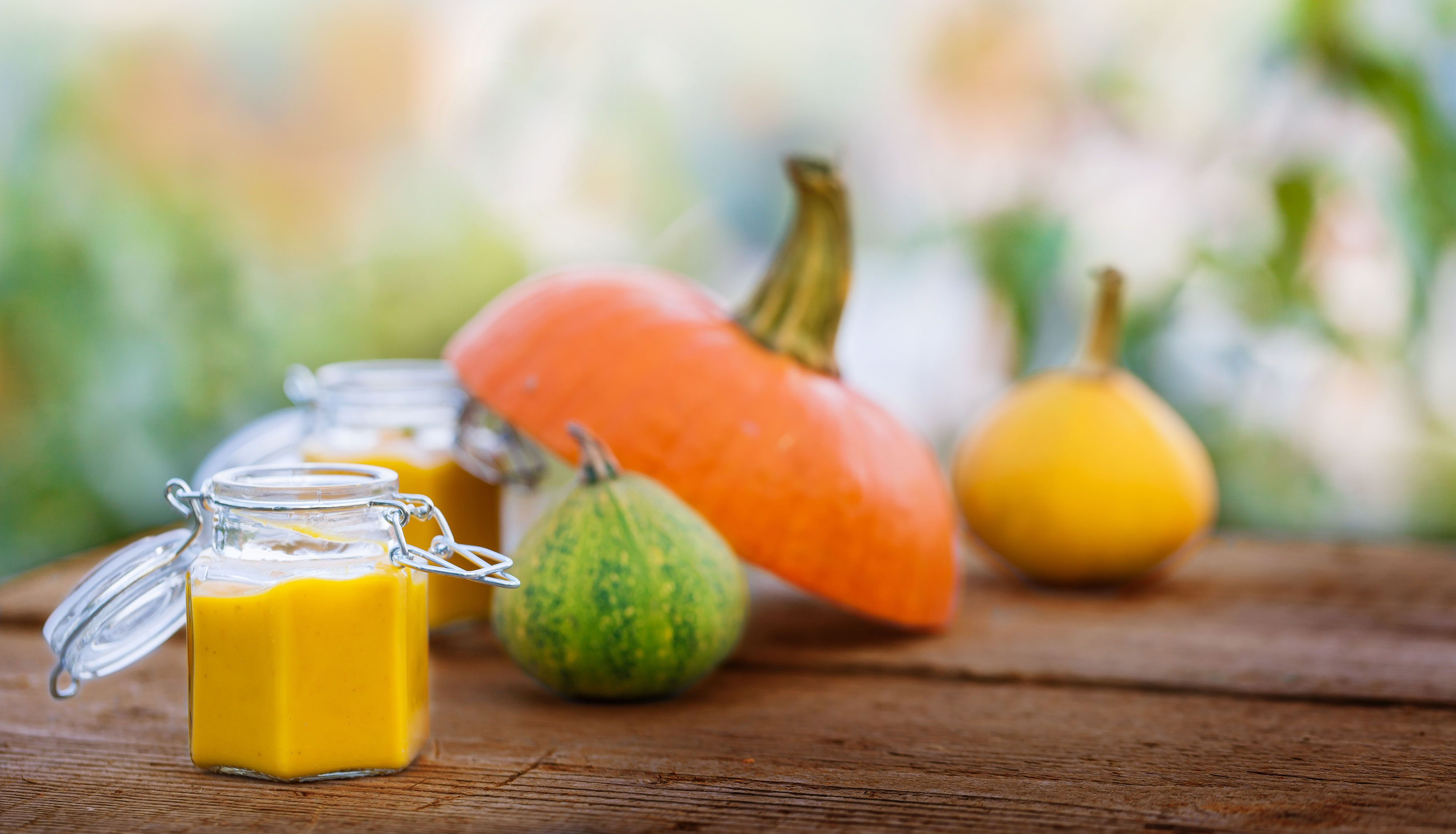 Ab ins Glas! Gartenmagazin