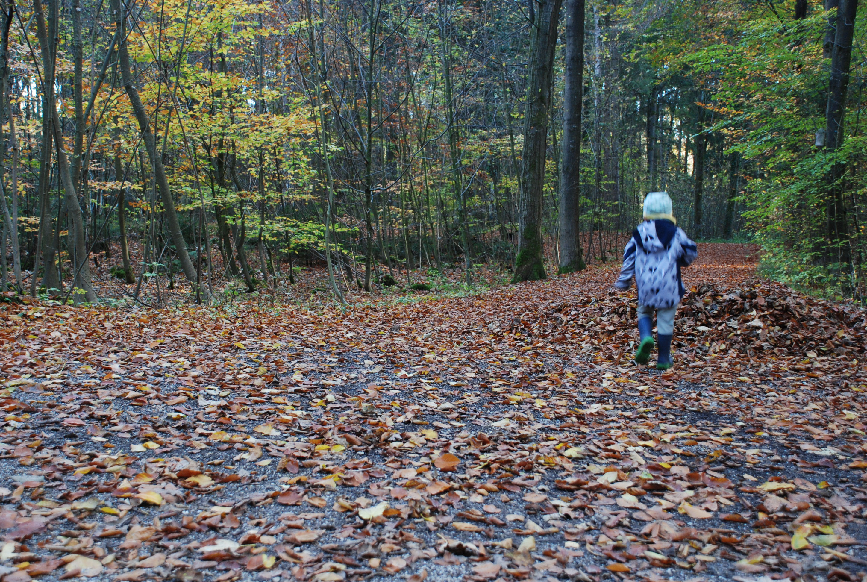 Fotoshooting im Wald - lebekind - kinder outdoor kleidung - kindermode