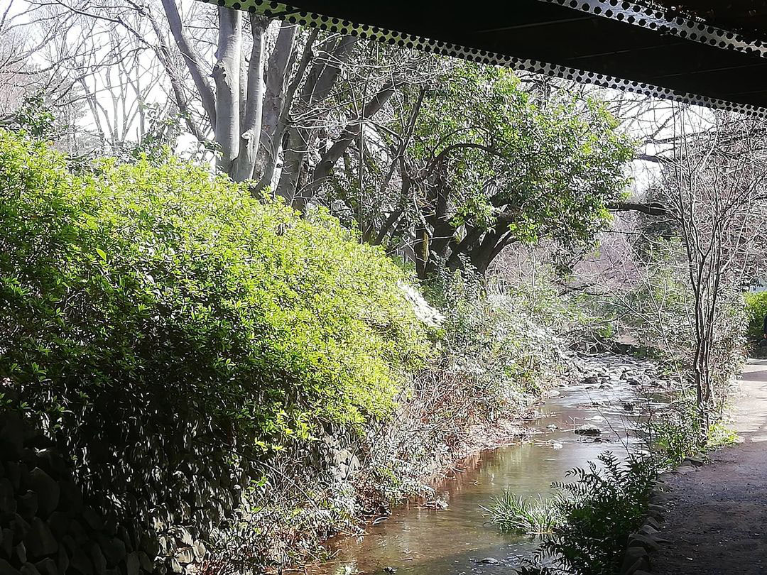 高校教師とぼくたちの失敗 Daihon屋 高校教師とぼくたちの失敗 Daihon屋