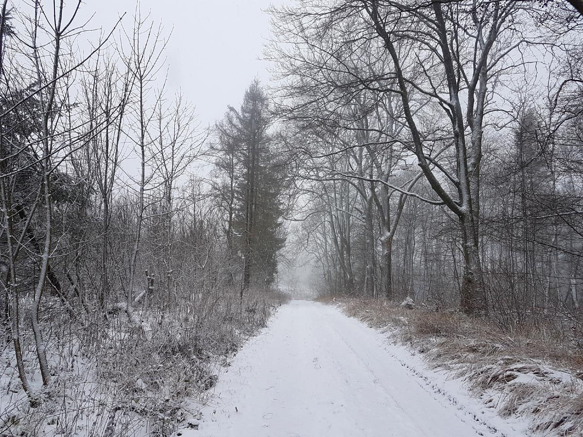 Winterwanderung zum Essigberg ASS Picasso