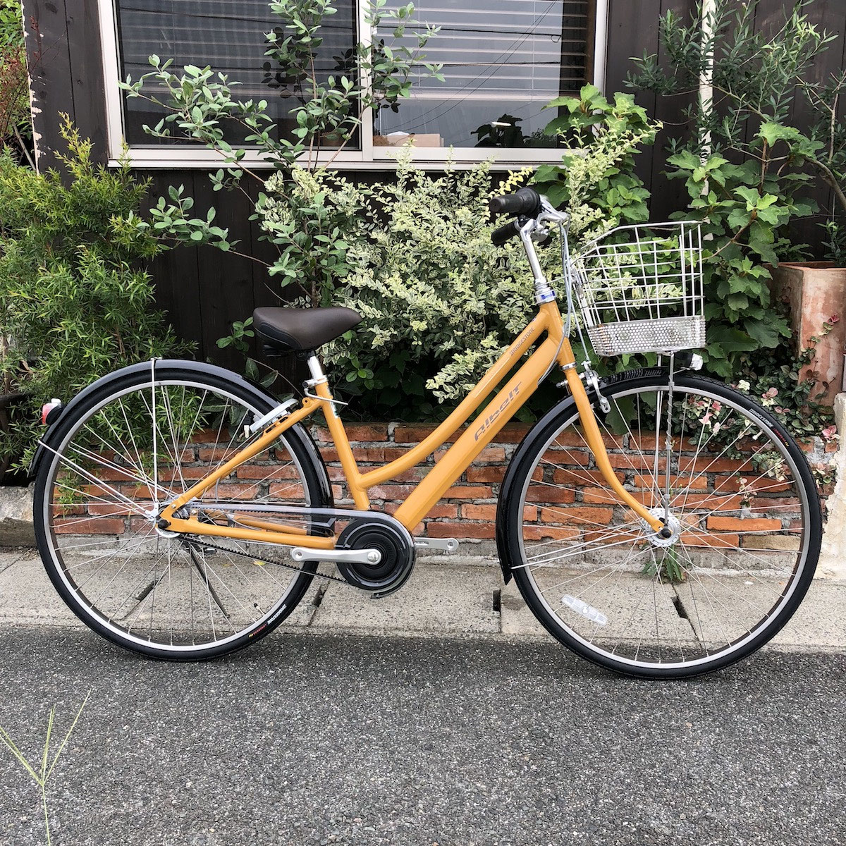 2019モデル アルベルト入荷しました。 サイクルショップ伊東