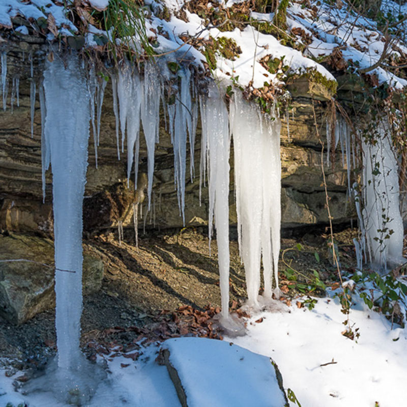 Eiszapfen NABU FotoAG Naturfotografie für den Naturschutz