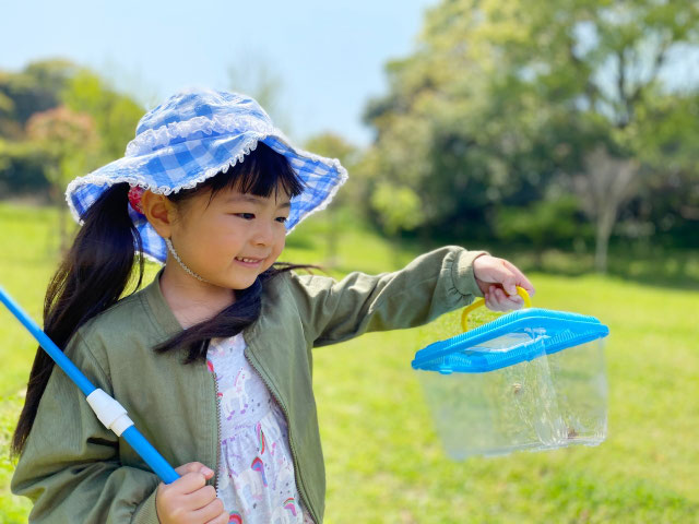 自粛期間でも気分転換 子供と楽しむ春の虫取りのおススメ Susylabo