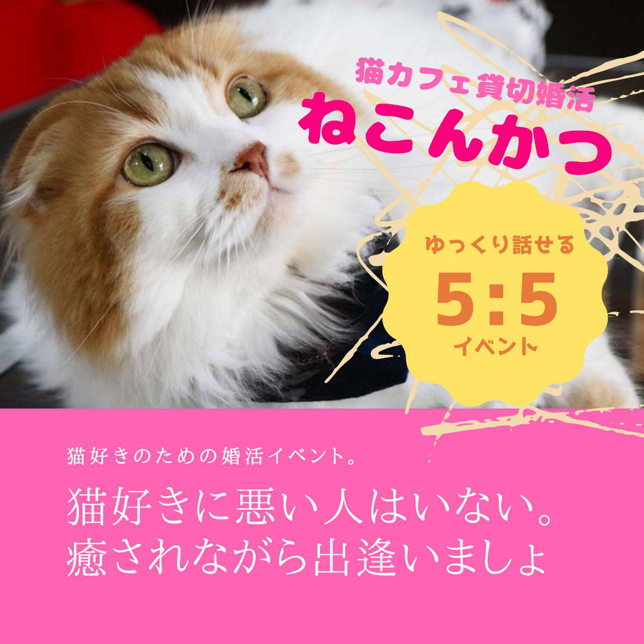 6 26 金 猫カフェ貸切婚活 ねこんかつ Konkatsu Himeji ページ 6 26 金 猫カフェ貸切婚活 ねこんかつ Konkatsu Himeji ページ